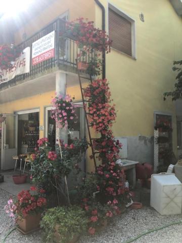Agriresidence San Pietro Bibione Exteriér fotografie